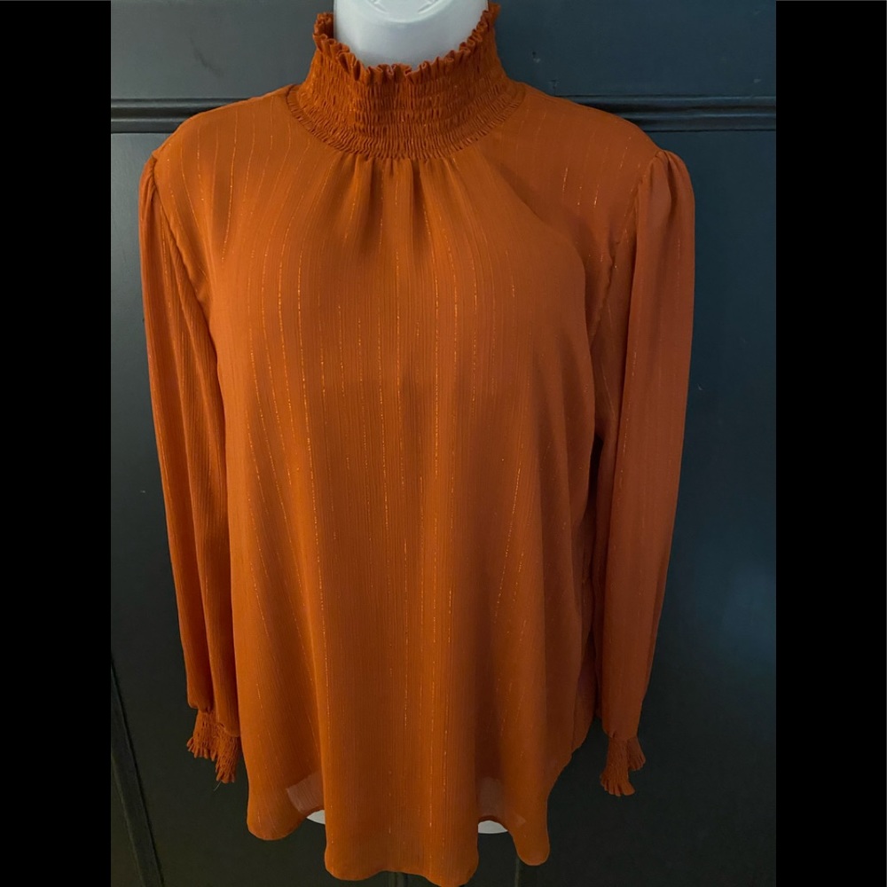 Beautiful Rust Colored Blouse.